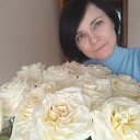 ���� ���������, ���������, 51 ��� - ��������� 4 ������ 2025 � ������ ���� ����������