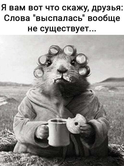 �������� ��������� - 9 ��� 2026 � 21:24