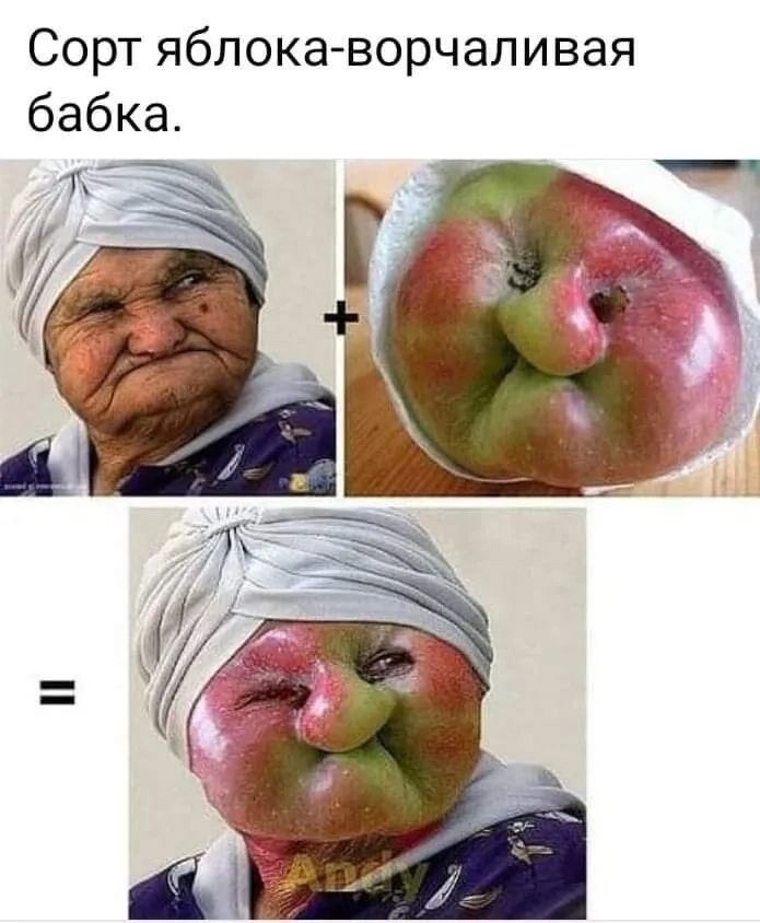  - 28  2024  00:19