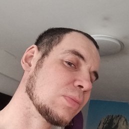 ����, 37 ���, �������