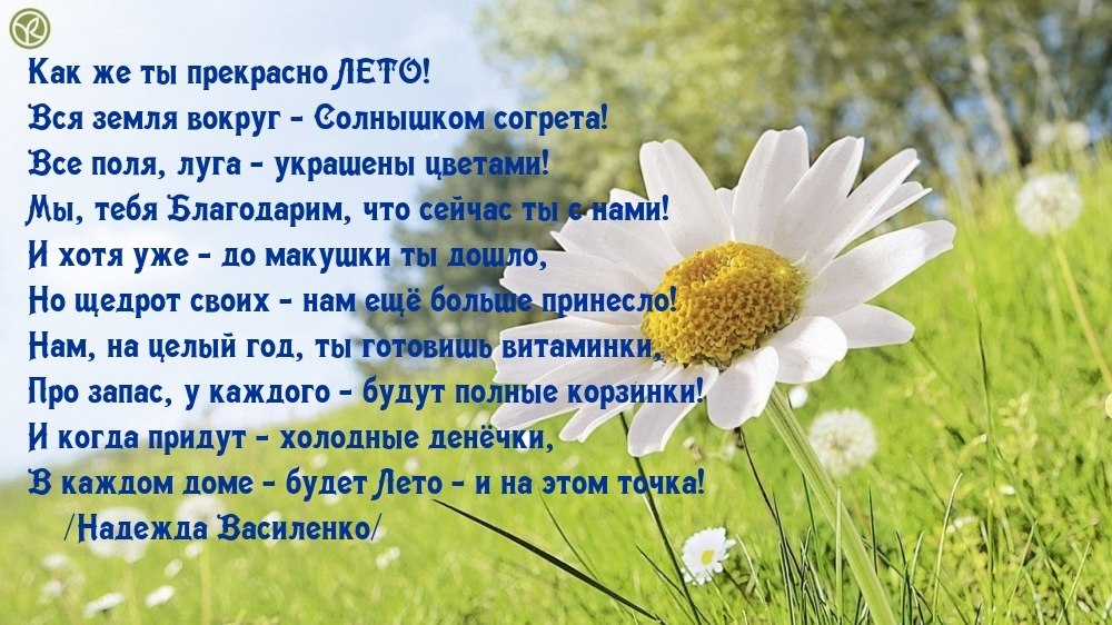   ,    . - 31  2025  11:40