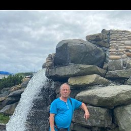 , 61, 