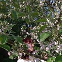 ���� �������, �����-���������, 35 ��� - ��������� 30 ����� 2026