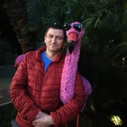 AVTANDIL, 42, 