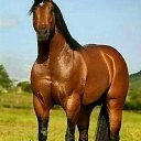 ���� Davron Gulomov, �����, 42 ���� - ��������� 27 ������ 2024