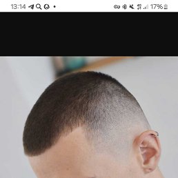 , 28, 