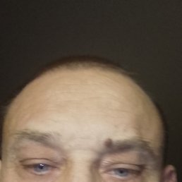 ���� ���������, �����, 46 ��� - ��������� 8 ������� 2026