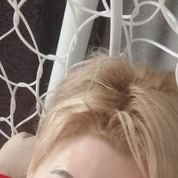 ���� ����, ���������, 43 ���� - ��������� 27 ����� 2024