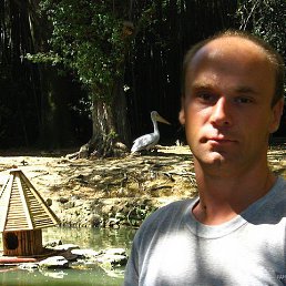 �������, 54 ����, ������