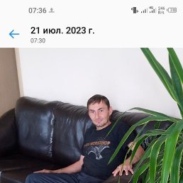 �������, 41 ���, �����