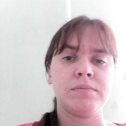 , 41 , 
