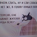 ���� �� ���� ����..., ������������ - ��������� 13 ������� 2026 � ������ ���� ����������