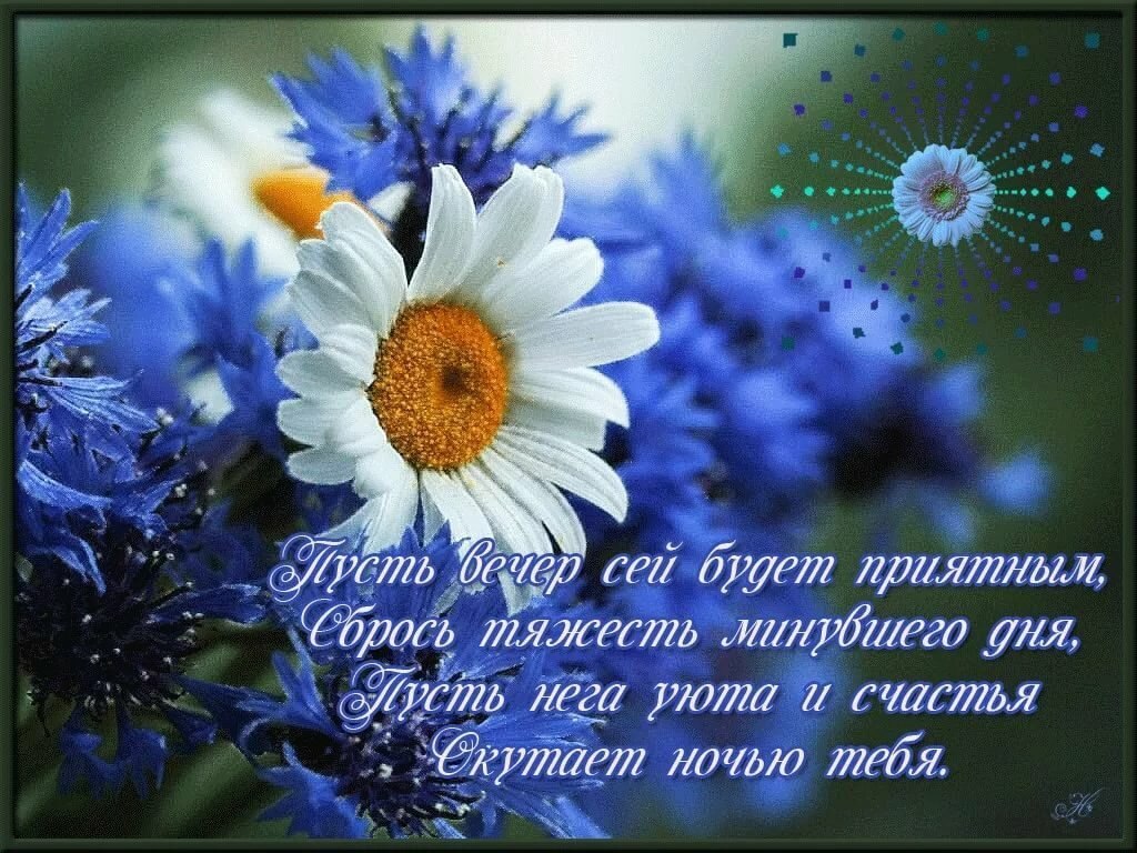   ,    . - 22  2025  11:28 - 5