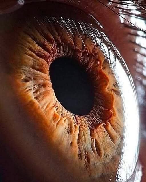 :) ��� ����. ��� �����.... ���� �������� (������������ ����� �����.): - ����� ������ �� ������� ...