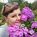 ���� ����, ������, 57 ��� - ��������� 17 ������� 2025 � ������ ���� ����������