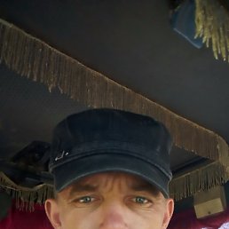 ������, �����, 41 ���