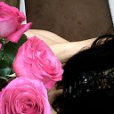���� �����, ��������� - ��������� 11 ��� 2026