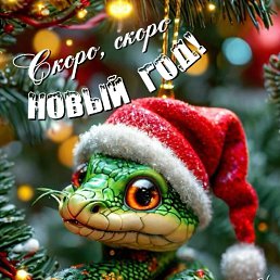 ���� ����, ��������, 59 ��� - ��������� 31 ������ 2025