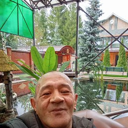 �����, 40 ���, ������