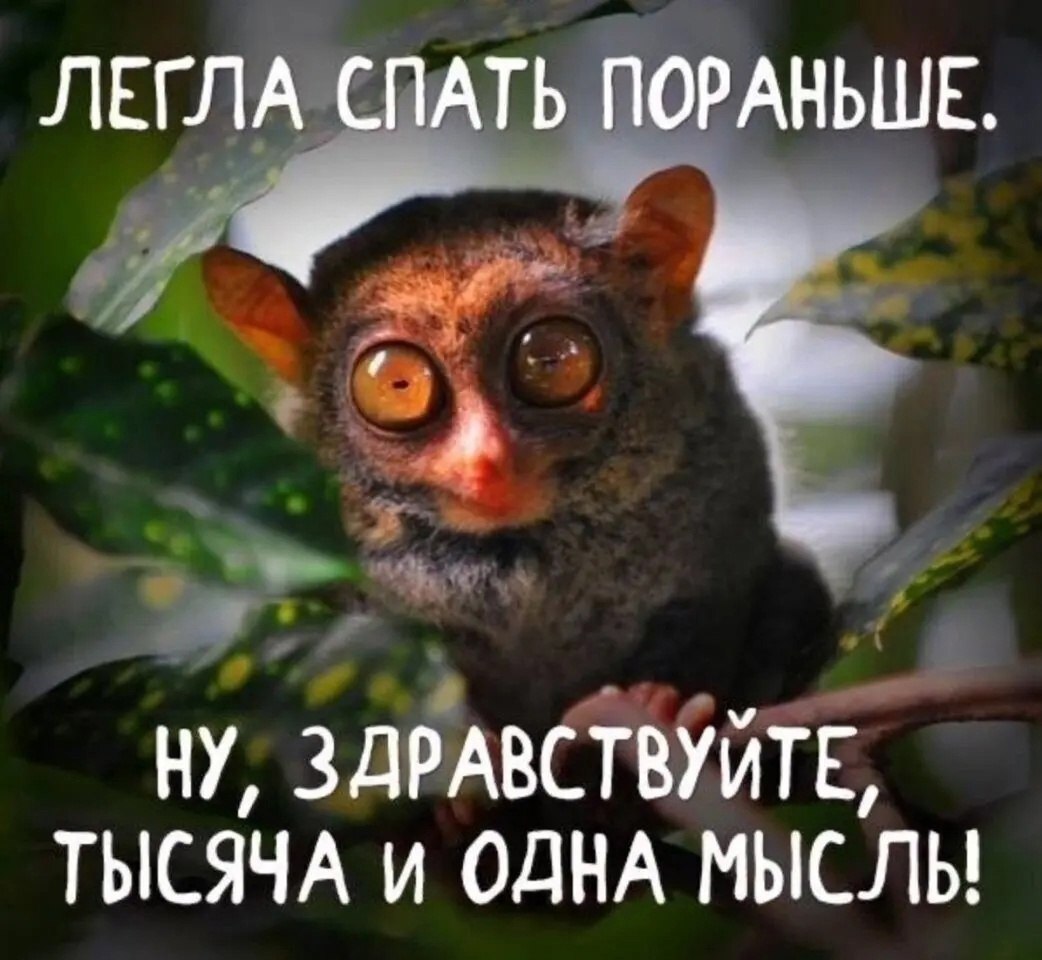  - 1  2023  02:38