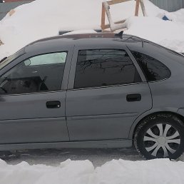 ���� �������, �����������, 53 ���� - ��������� 19 ������ 2024