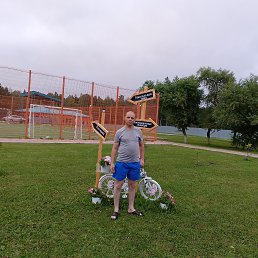 �����, 41 ���, ������������