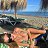 ���� Lady, ����, 31 ��� - ��������� 27 ������ 2025