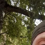 , 45 , 
