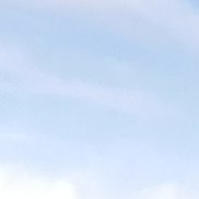 ����, 51 ���, ������