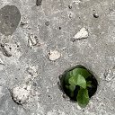 ����� �����...