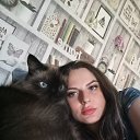 ���� ����, �����, 43 ���� - ��������� 27 ������ 2026 � ������ ���� ����������