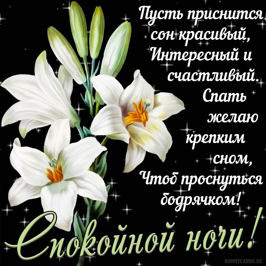   ,    . - 12  2025  22:08