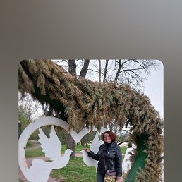 , 54, 