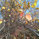 ���� ������, ������, 49 ��� - ��������� 25 ������� 2025 � ������ ������ ��������