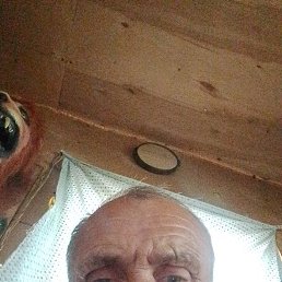 , 64, 