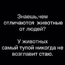 ���� ������, �����-���������, 61 ��� - ��������� 27 ��� 2026 � ������ ���� ����������