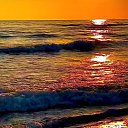 ���� �����, ����� - ��������� 24 ����� 2026 � ������ ���� ����������