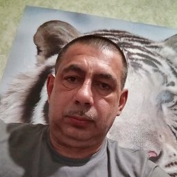 , 52, 