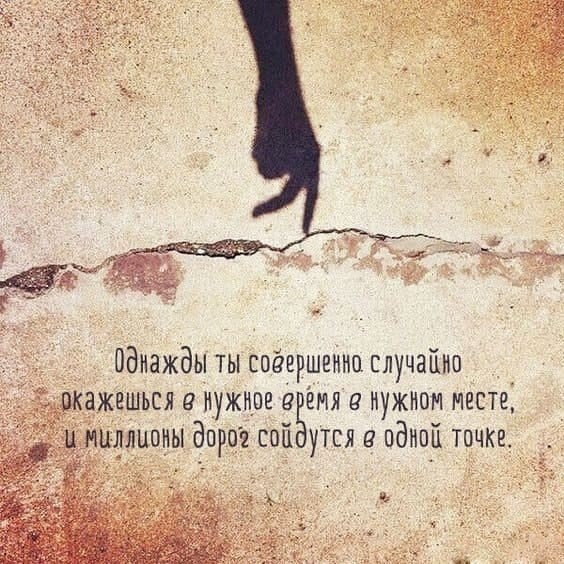    - 26  2025  12:41