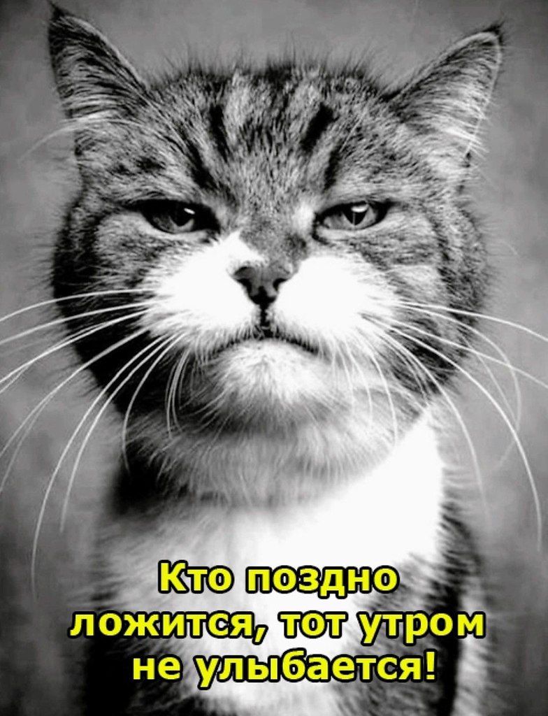 ��� ���� - 12 ����� 2026 � 22:42