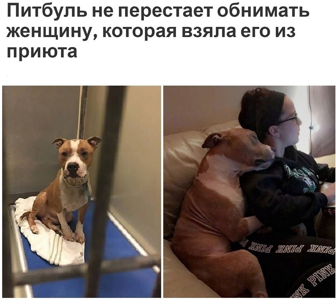 ����� � �����