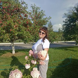 , , 52 