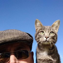 ������, 67 ���, ���