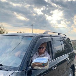 �����, ���������, 54 ����