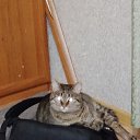  , --, 37  -  14  2025