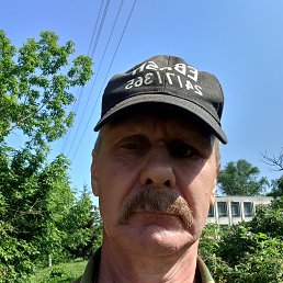 , 58, 