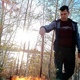 ������, ������, 49 ���