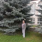 ������, 61 ���, ������