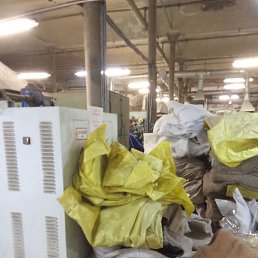 ����, ������, 50 ���