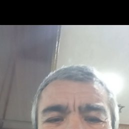 , 52, 